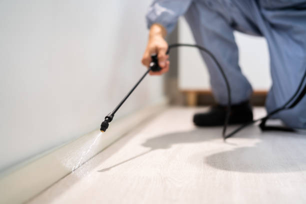 Licensed Mosquito Control service in Goddard, KS - Show Me Pest Control