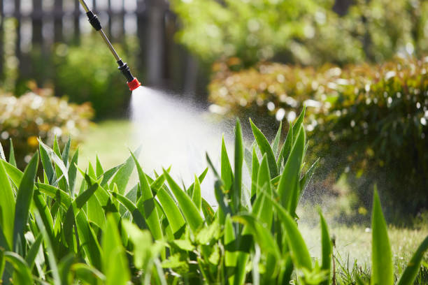 24/7 Emergency Mosquito Control experts in Goddard, KS