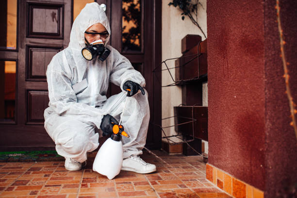 Reliable Mosquito Control contractor in Goddard, KS by Show Me Pest Control